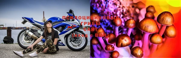 apvp Дегтярск